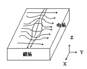 潘晓明图1