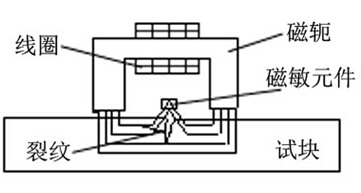潘晓明图2