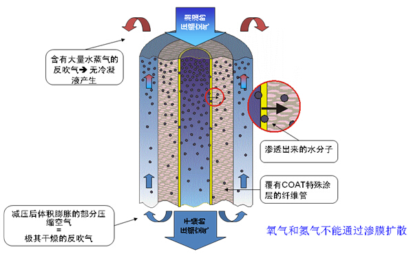 董5